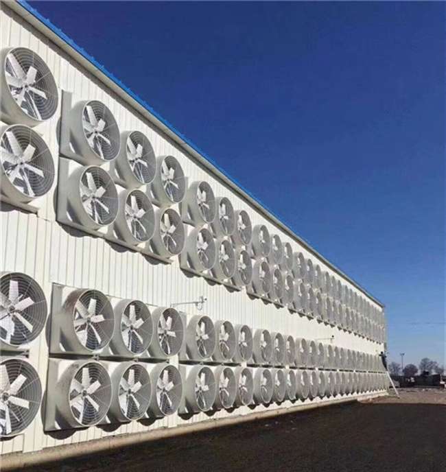 玻璃鋼風機廠房降溫設備